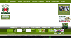 Desktop Screenshot of gavinell.it